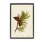 Stupell Industries Fir Tree Cones Floater Framed Canvas Wall Art Design by Tina Higgins Designs, Inc.